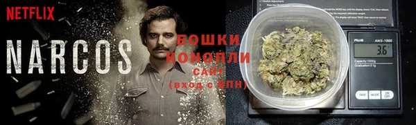 ешки Бронницы