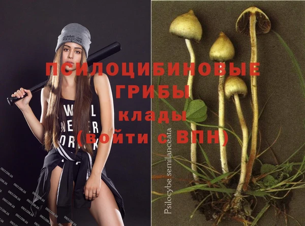 винт Бугульма