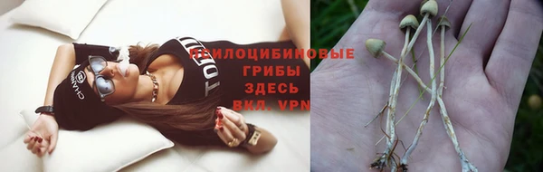 Альфа ПВП Бородино