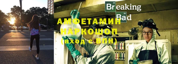Альфа ПВП Бородино