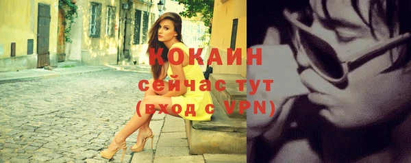 ешки Бронницы