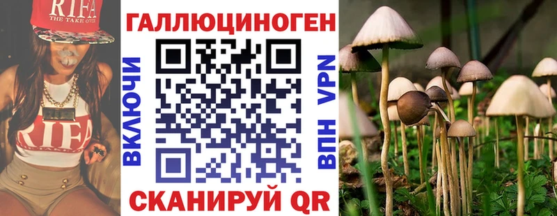 Галлюциногенные грибы мухоморы  где купить наркотик  Благовещенск 